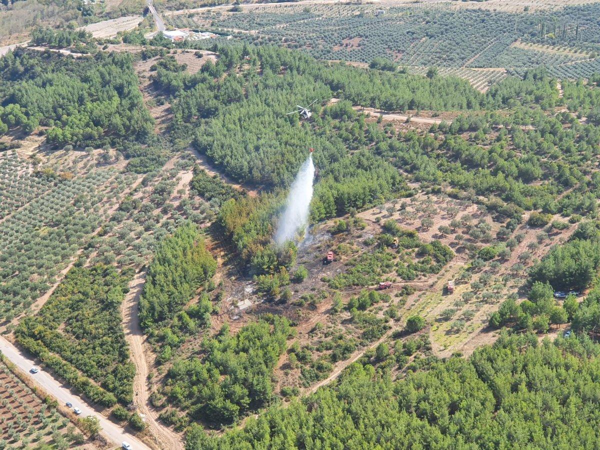 Akhisar'da çıkan orman yangını söndürüldü