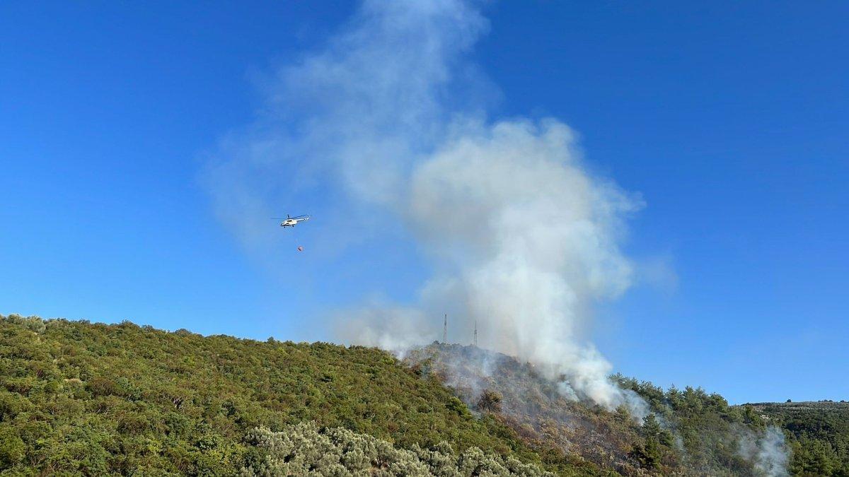 Bursa'da orman yangını: Havadan ve karadan müdahale ediliyor