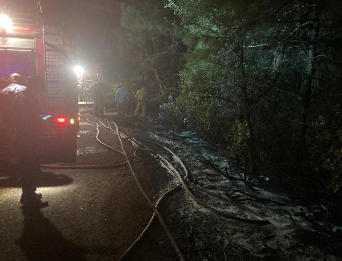 Aydın Dilek Yarımadası'ndaki milli parkta çıkan yangın büyümeden söndürüldü