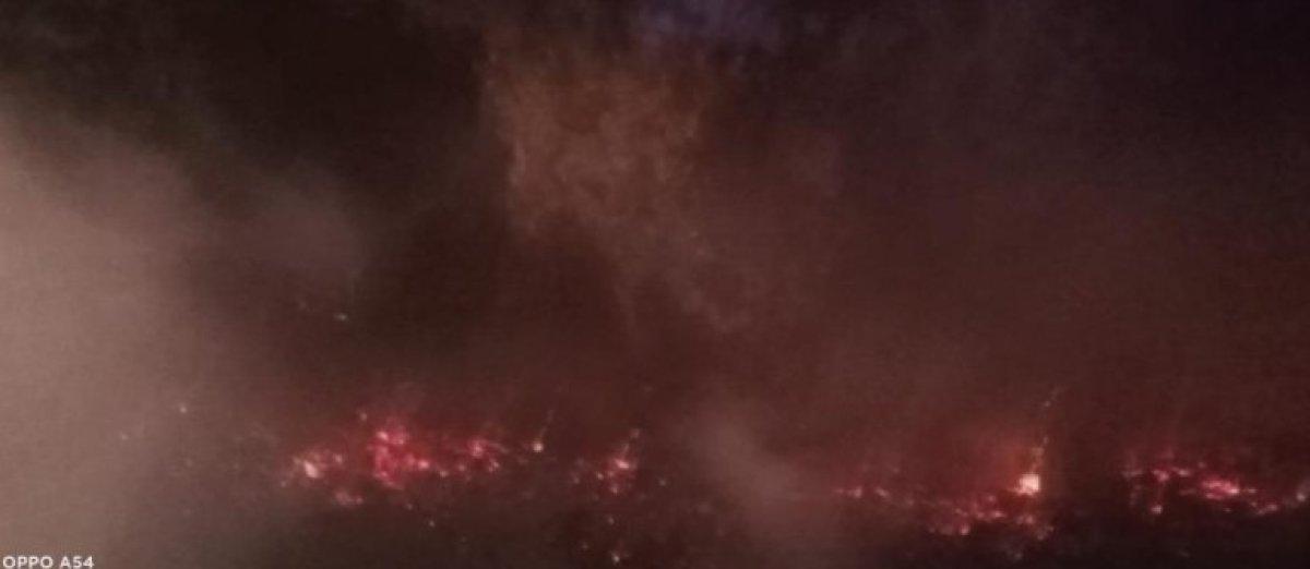 Aydın Dilek Yarımadası'ndaki milli parkta çıkan yangın büyümeden söndürüldü