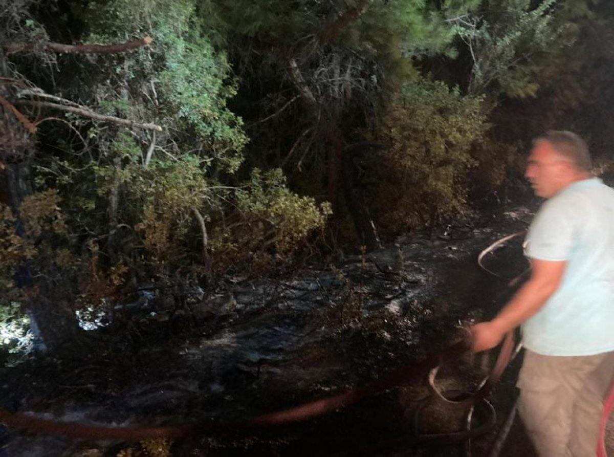 Aydın Dilek Yarımadası'ndaki milli parkta çıkan yangın büyümeden söndürüldü