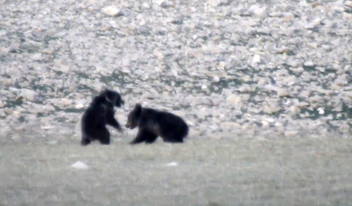 Munzur Dağları'ndan belgesel tadında görüntüler