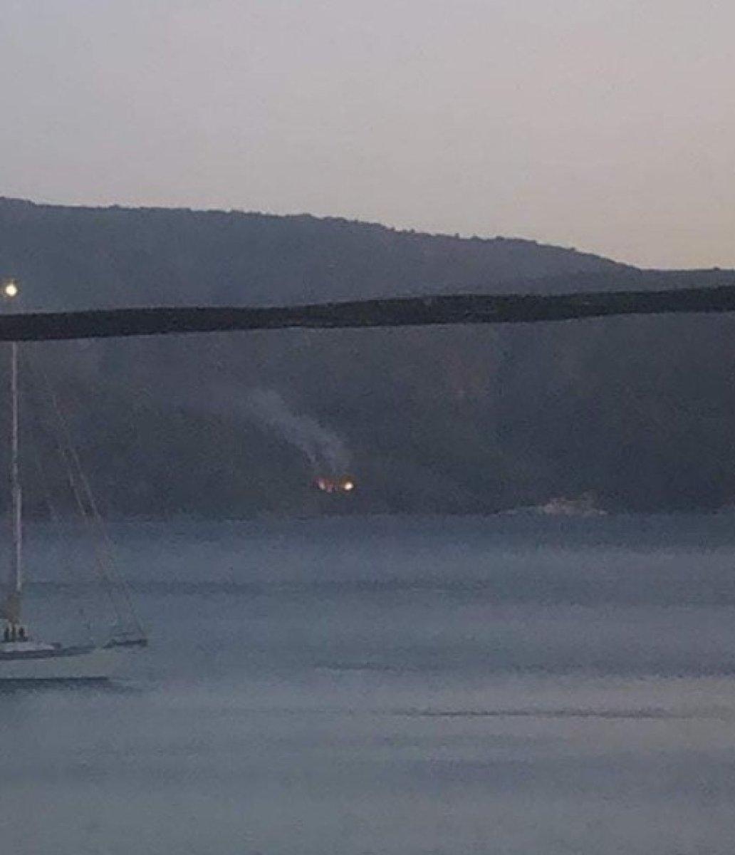 Aydın Dilek Yarımadası'ndaki milli parkta çıkan yangın büyümeden söndürüldü