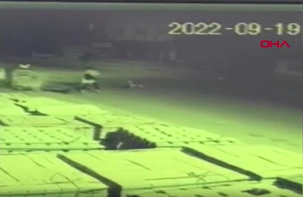 Antalya'da genç kıza saldıran başıboş köpekler kamerada