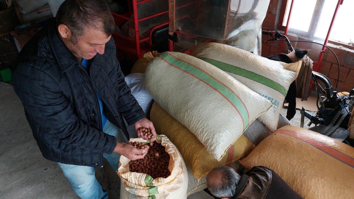 Samsun'da fındık tartısında akılalmaz hile