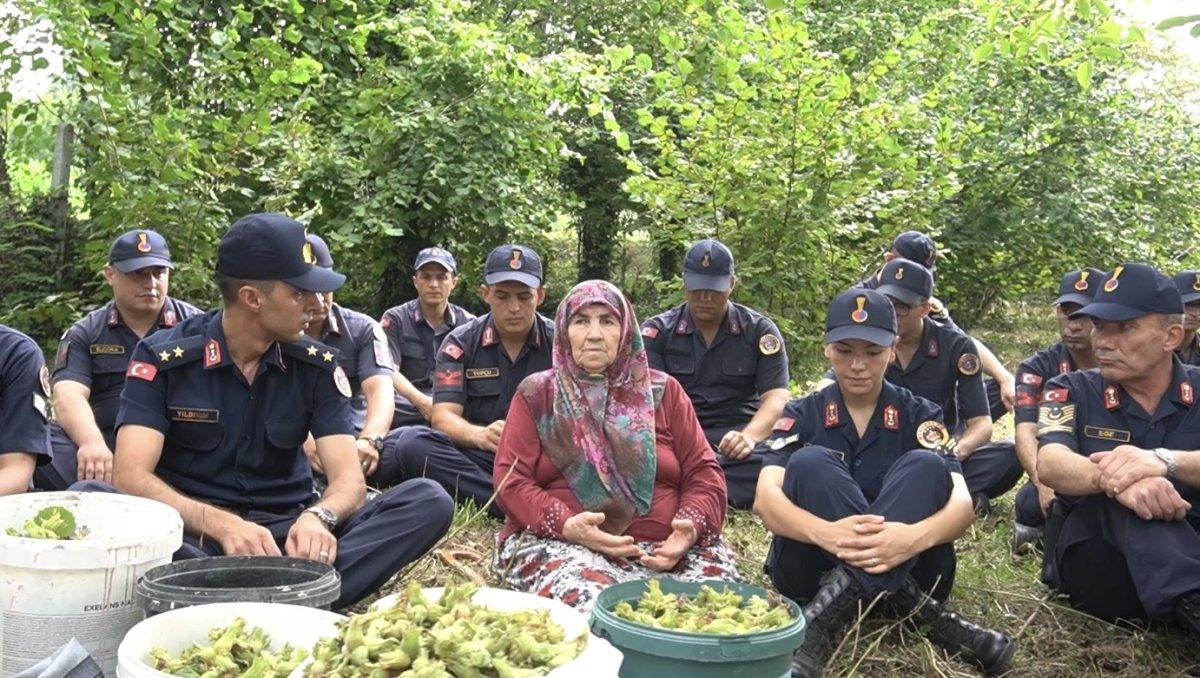 Bartın'da jandarma şehit annesinin fındıklarını topladı