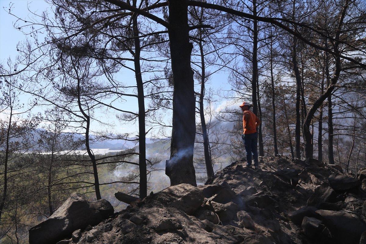 Marmaris'teki orman yangını, 19 saat sonra kontrol altında