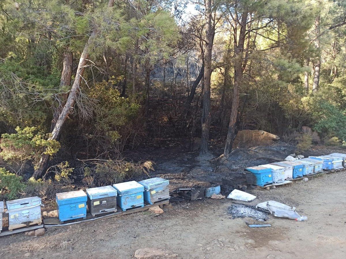 Marmaris'teki orman yangını, 19 saat sonra kontrol altında