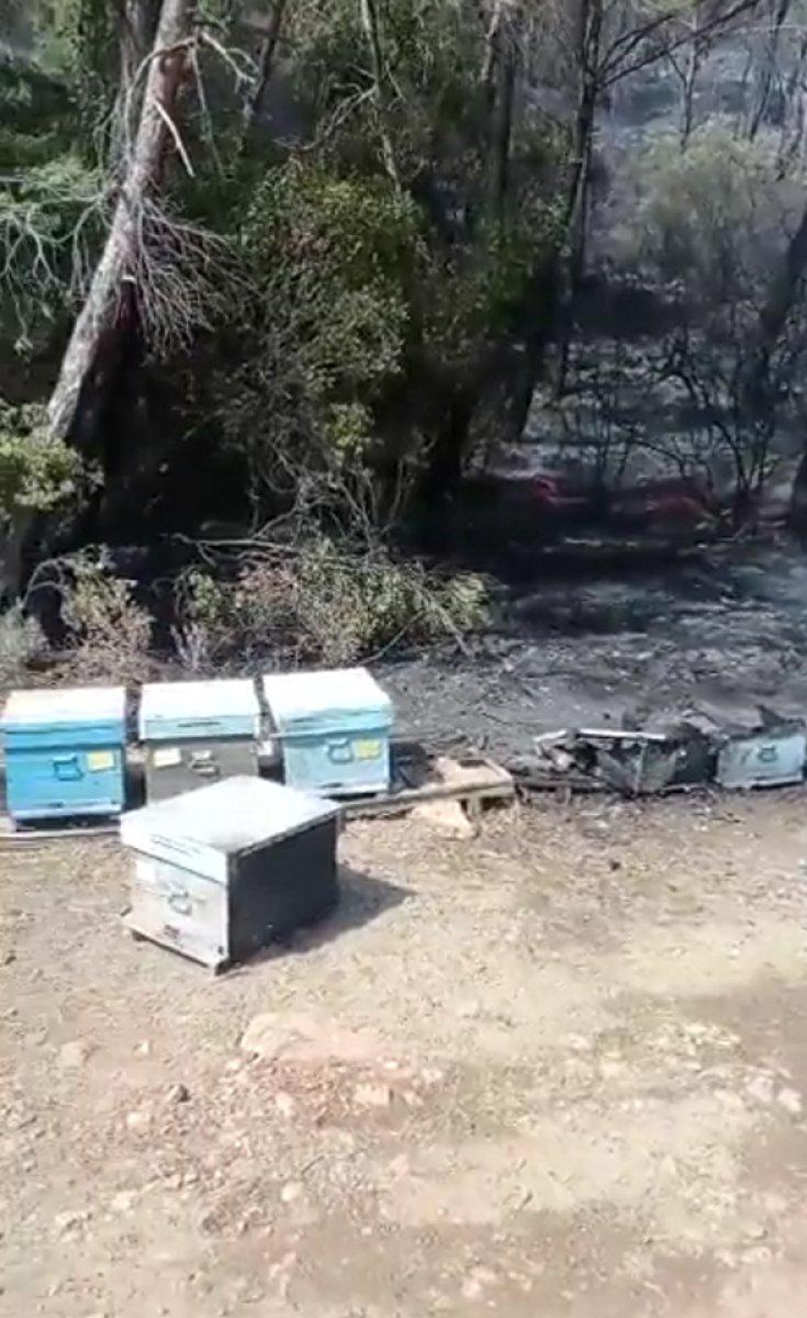 Ümit Özdağ'ın Marmaris'i sığınmacılar yaktı yalanı