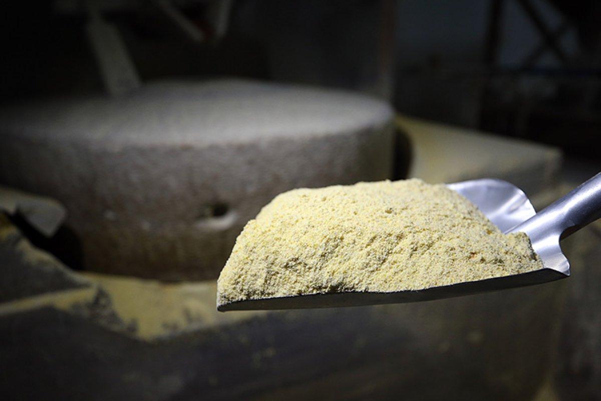 Karadeniz kadınının emeğiyle, tarladan sofraya mısır ununun hikayesi