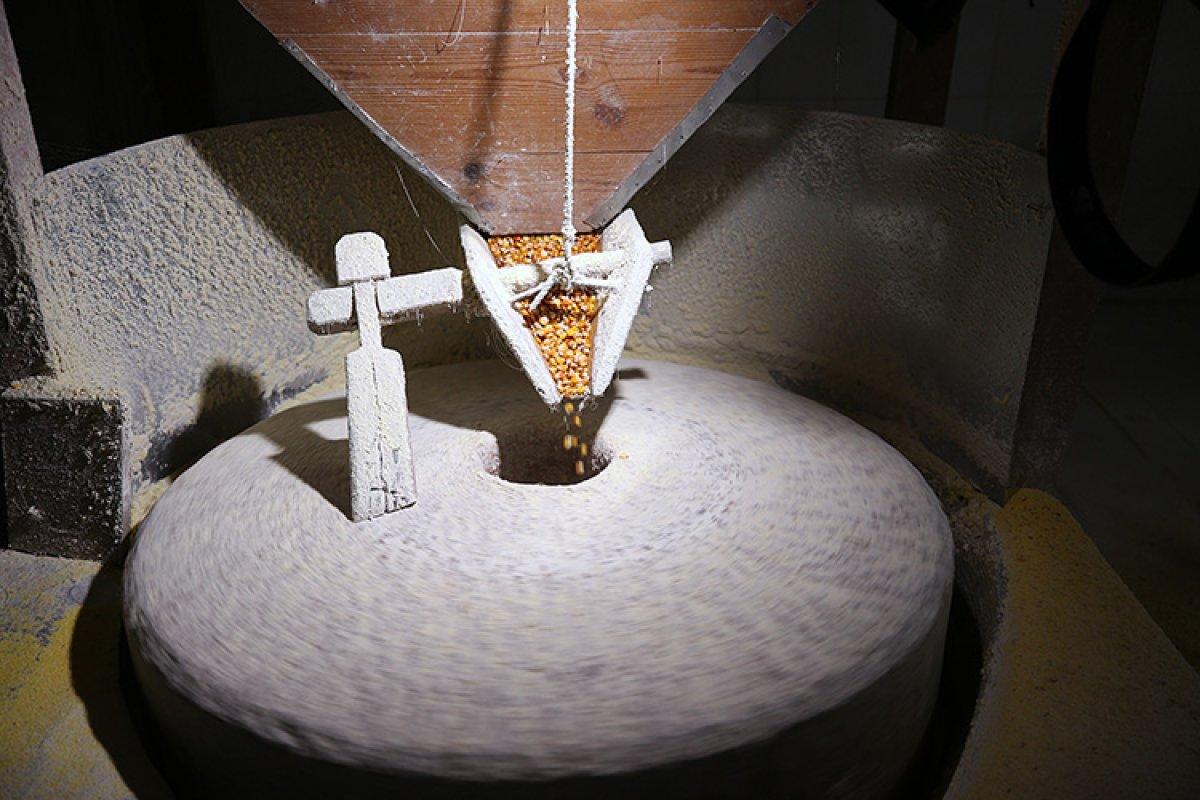 Karadeniz kadınının emeğiyle, tarladan sofraya mısır ununun hikayesi