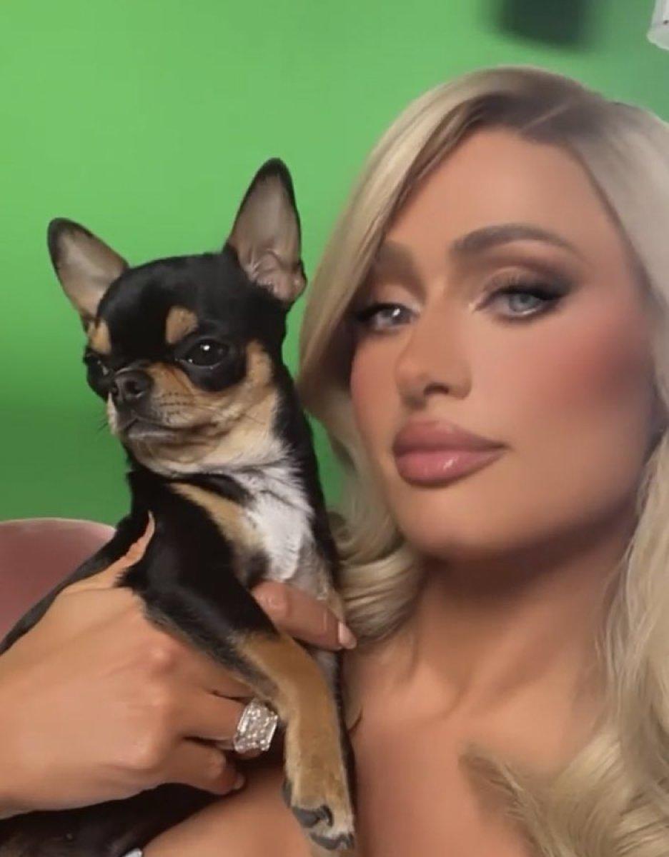 Paris Hilton, köpeğini bulana ödül verecek