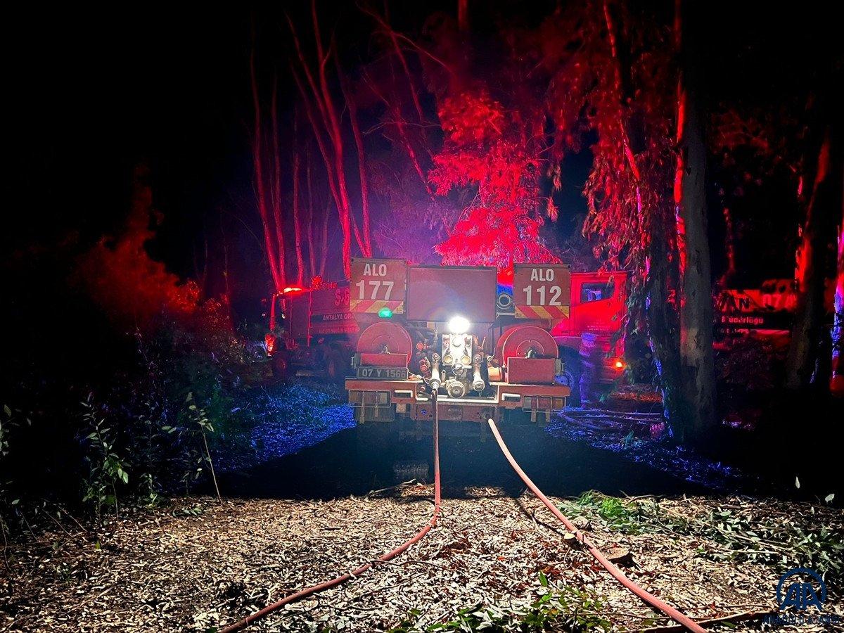 Antalya'da ormanlık alanda yangın