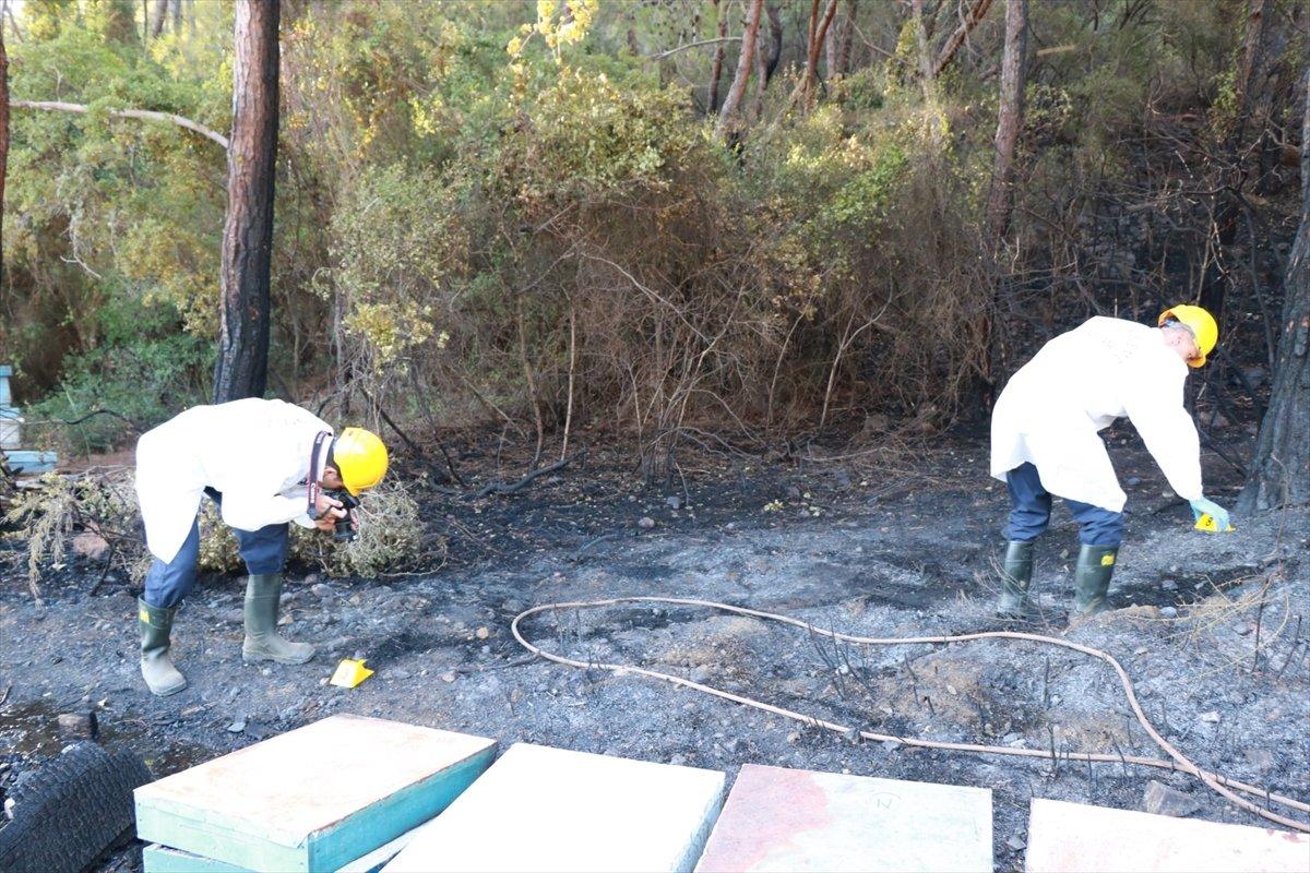 Marmaris'teki orman yangını, 19 saat sonra kontrol altında