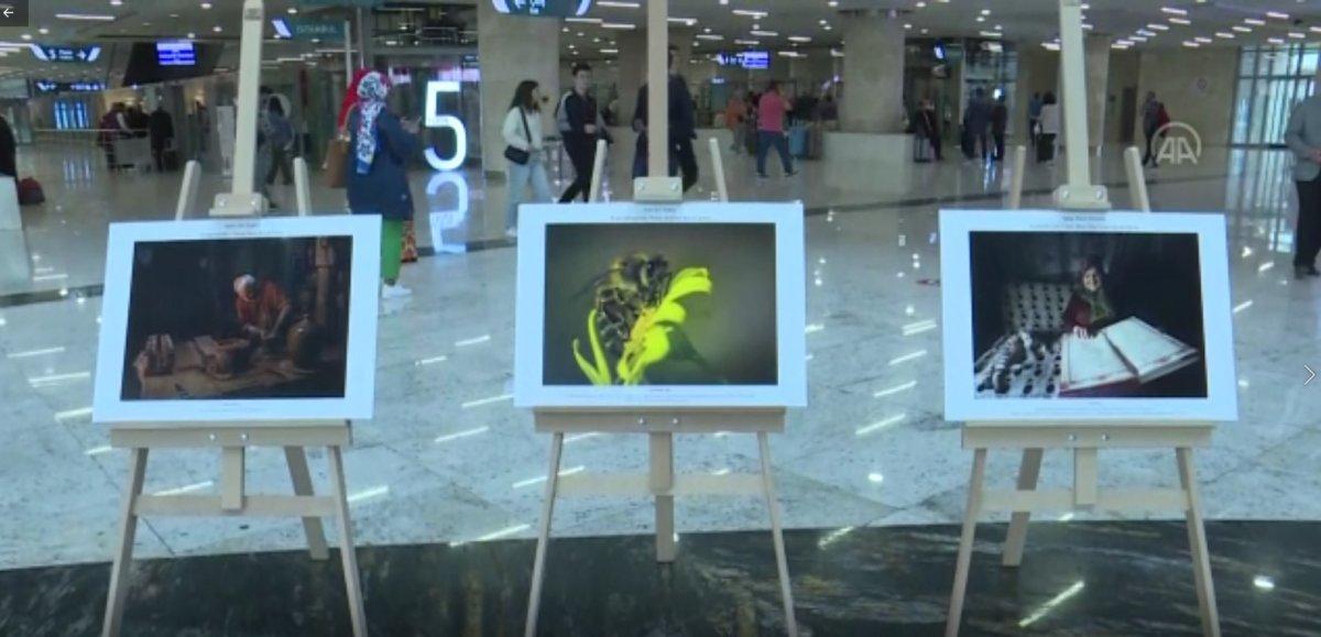 Ali Erbaş, ‘Kadrajımda Ayet Var’ fotoğraf sergisini açtı