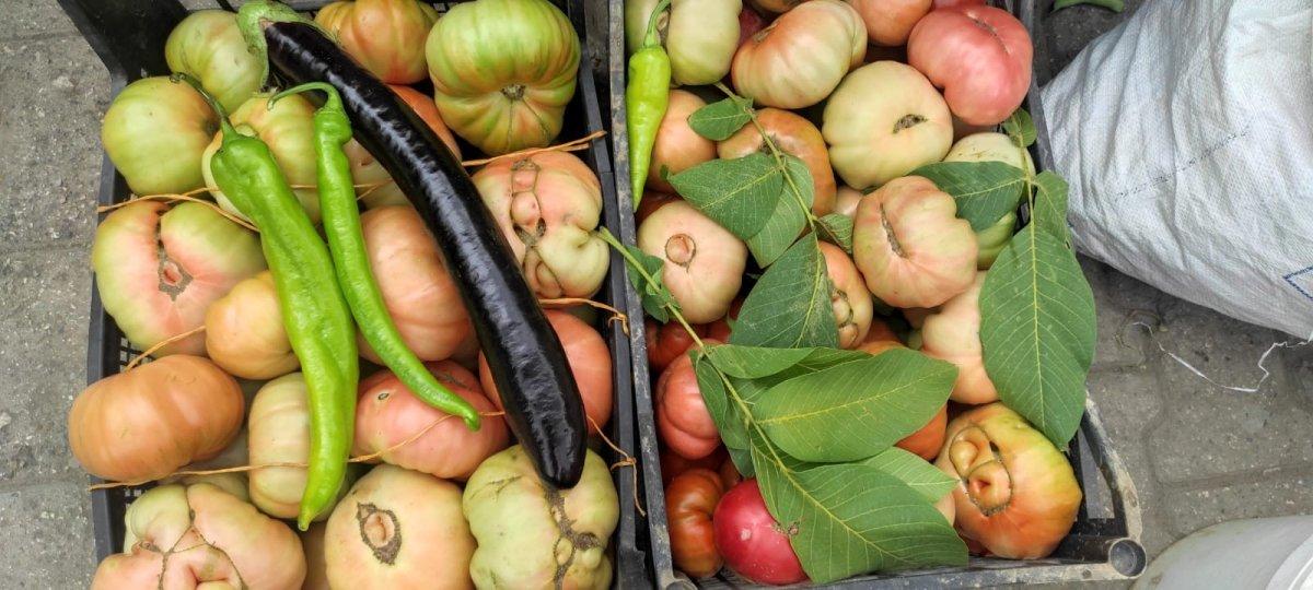 Batman'da bir kiloluk domatesler tezgaha çıktı