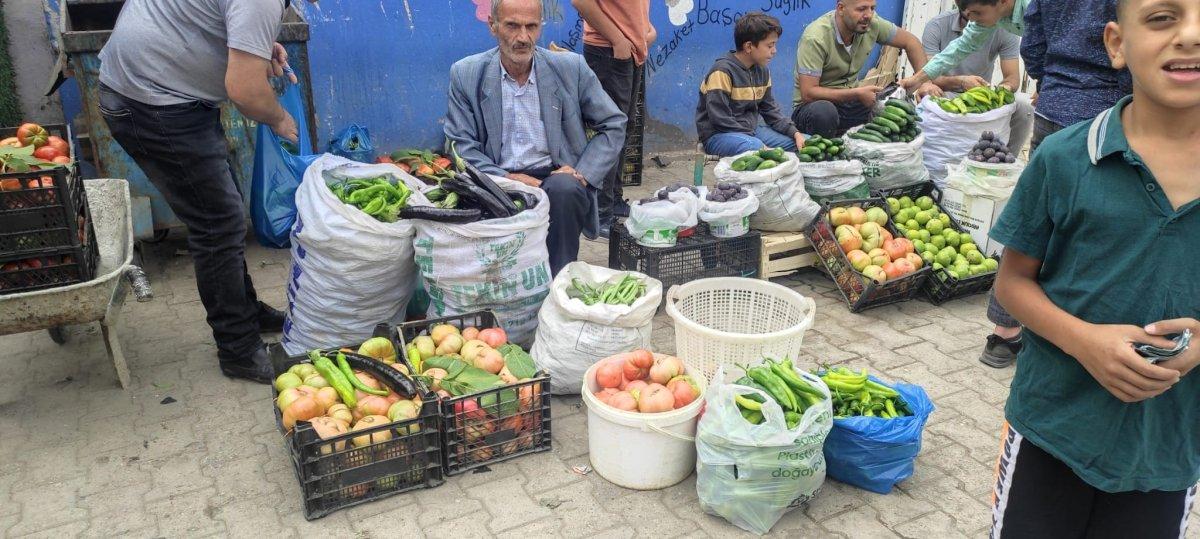 Batman'da bir kiloluk domatesler tezgaha çıktı