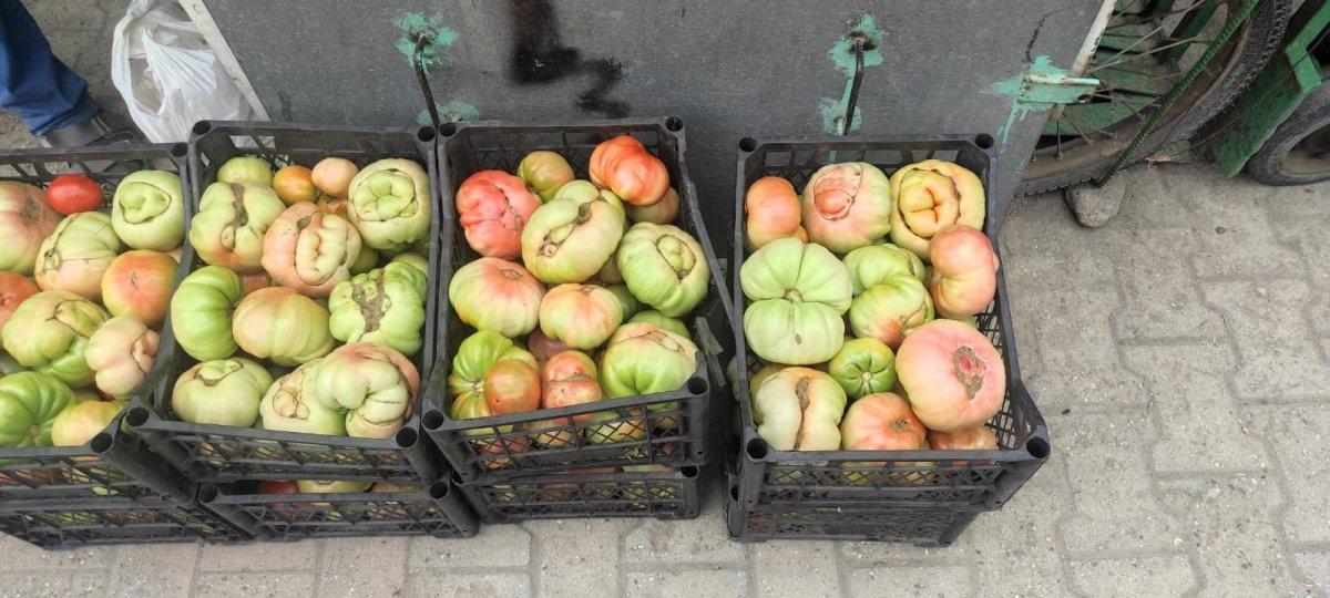 Batman'da bir kiloluk domatesler tezgaha çıktı