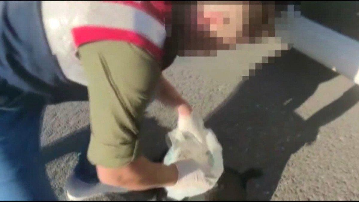 Eyüpsultan’da, 45 tüp kobra yılanı zehri ele geçirildi