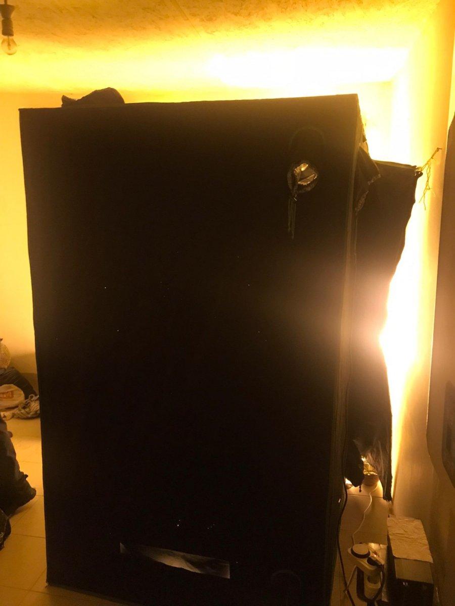 Bursa’da, evini uyuşturucu serasına dönüştüren şüpheli gözaltına alındı