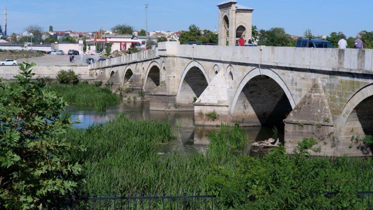 Edirne'deki Tunca Nehri'nde ot ve sazlık öbekleri oluştu