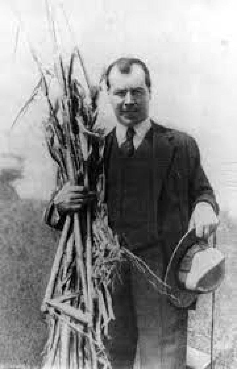 Vakanüvis'ten, kaçan Ruslara tarihi hatırlatma: Atalarınız tahıl ambarında açlıktan ölmüştü