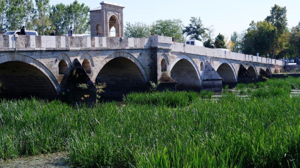Edirne'deki Tunca Nehri'nde ot ve sazlık öbekleri oluştu