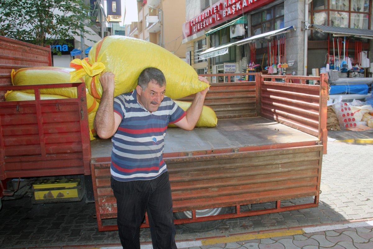 fındık