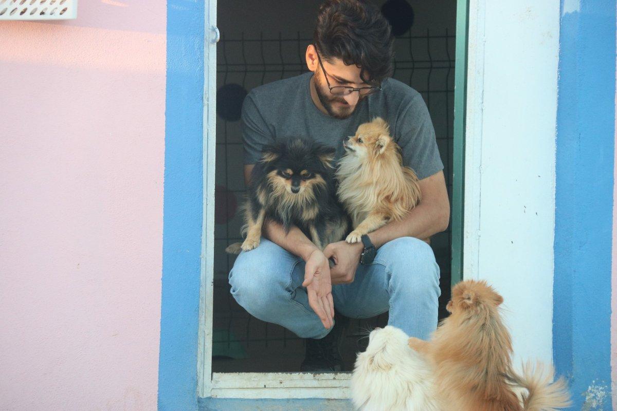 Diyarbakır Lice’de milyonluk ‘Pomeranian’ çiftliği kurdu