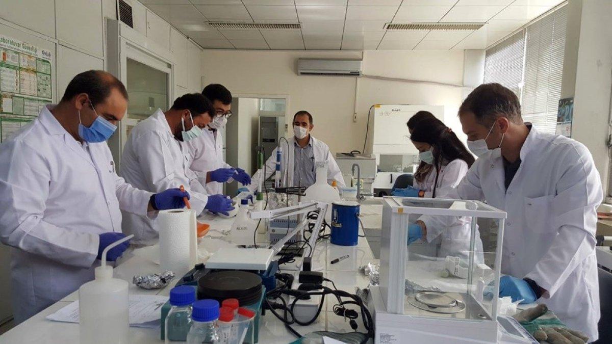 Hastalıklara dayanıklı yerli şeker pancarı geliştirildi