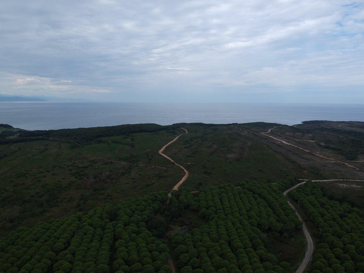 Cumhurbaşkanı Erdoğan’ın işaret ettiği Sinop NGS bölgesi görüntülendi