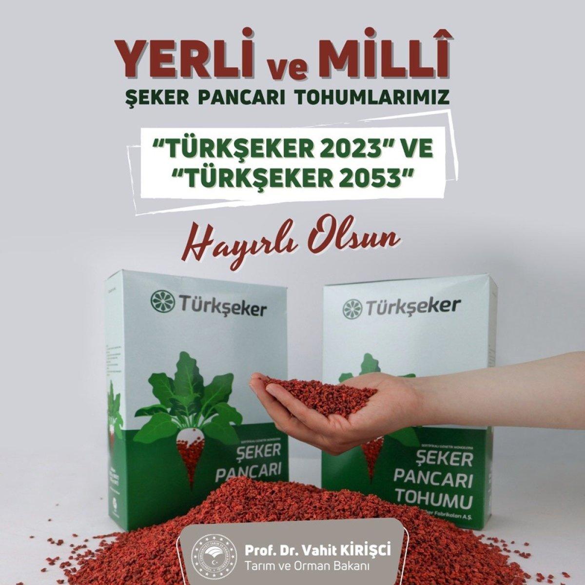 Hastalıklara dayanıklı yerli şeker pancarı geliştirildi