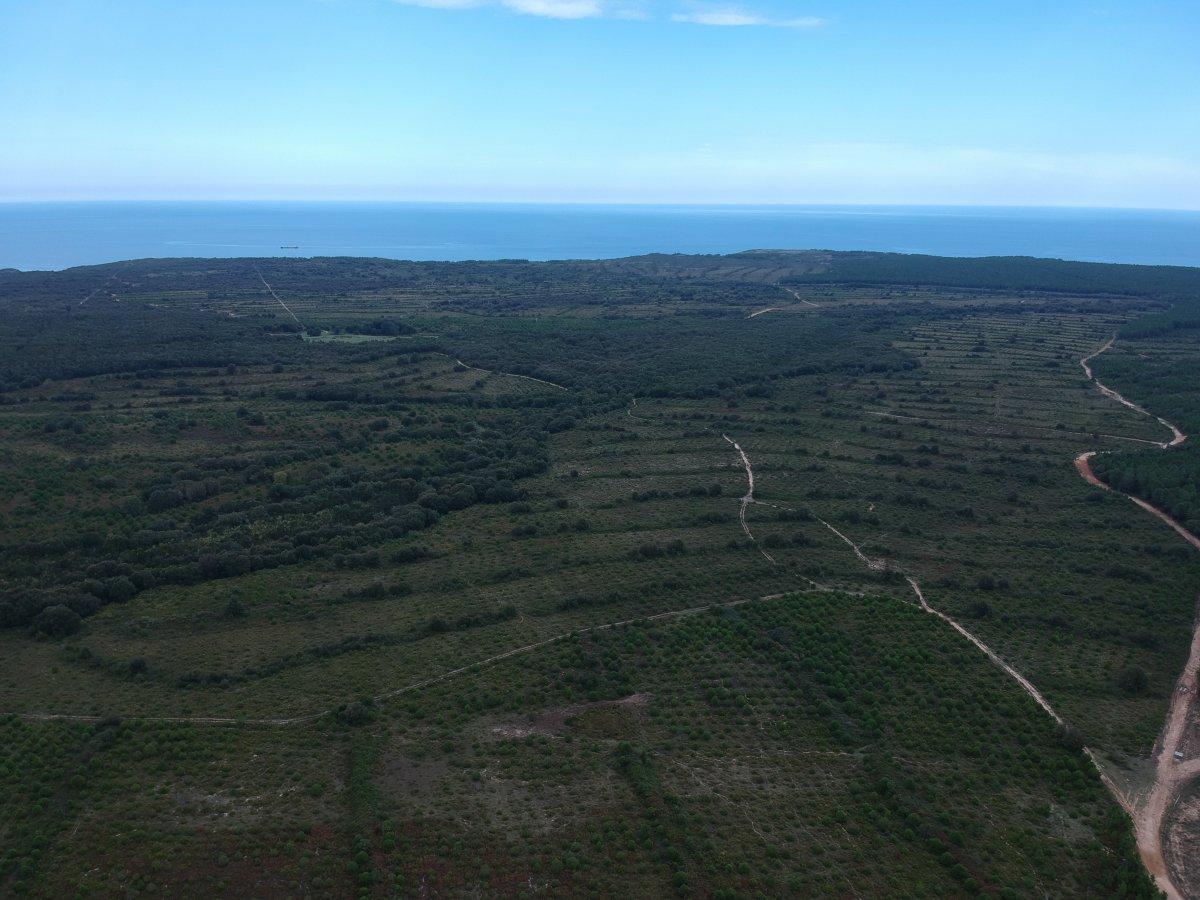 Cumhurbaşkanı Erdoğan’ın işaret ettiği Sinop NGS bölgesi görüntülendi