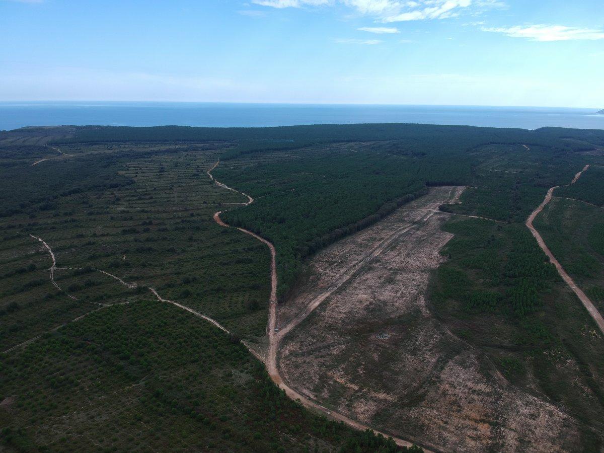 Cumhurbaşkanı Erdoğan’ın işaret ettiği Sinop NGS bölgesi görüntülendi