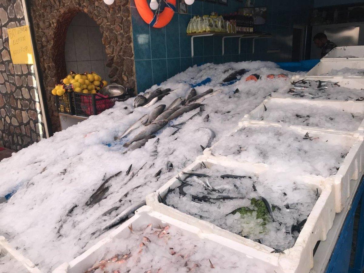 Iğdır'da balıkçılar avdan döndü tezgahlar doldu