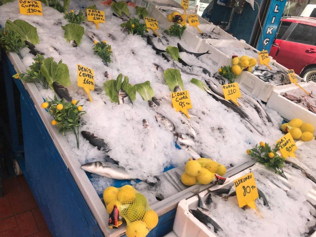 Iğdır'da balıkçılar avdan döndü tezgahlar doldu