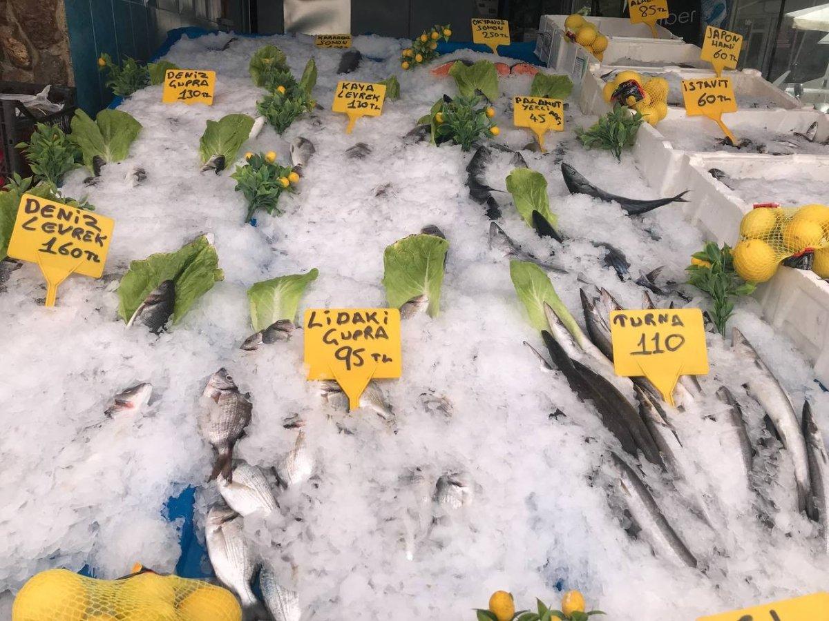 Iğdır'da balıkçılar avdan döndü tezgahlar doldu