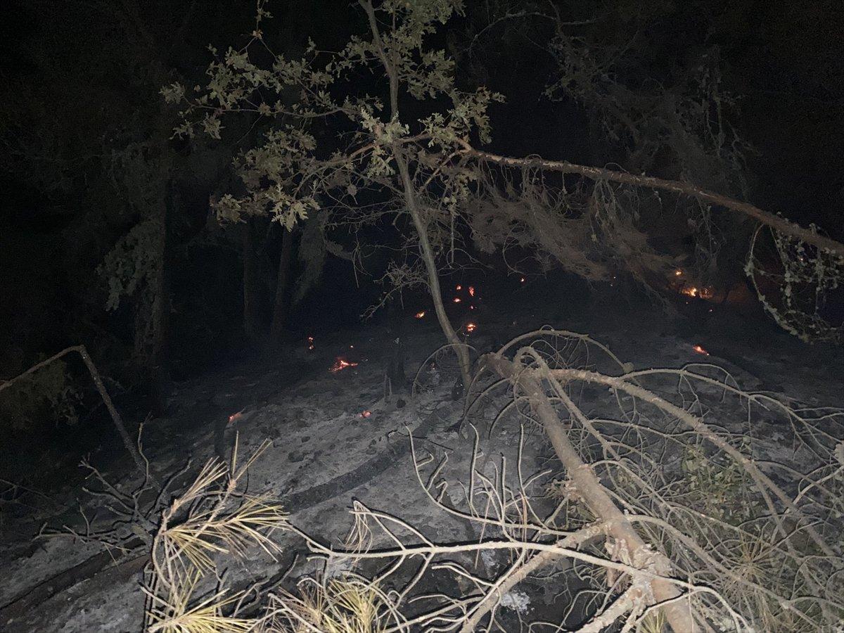 Uşak’ta orman yangını