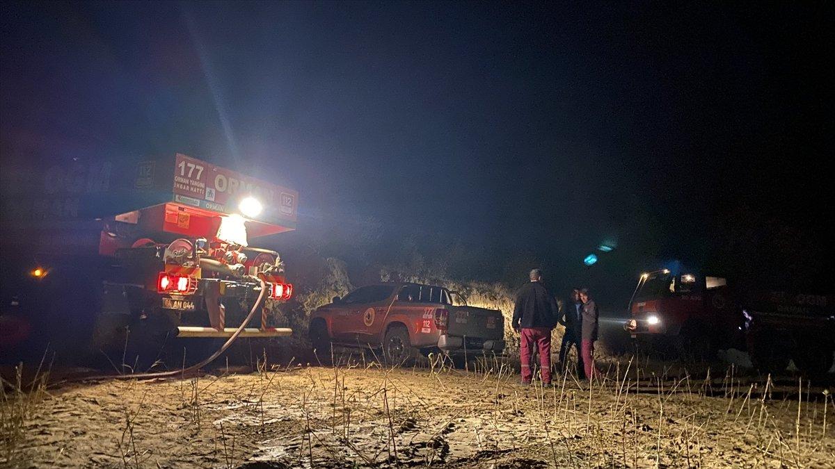 Uşak’ta orman yangını