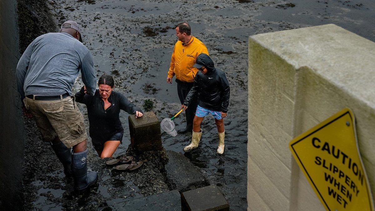 ABD'de Ian Kasırgası hayatı felç etti