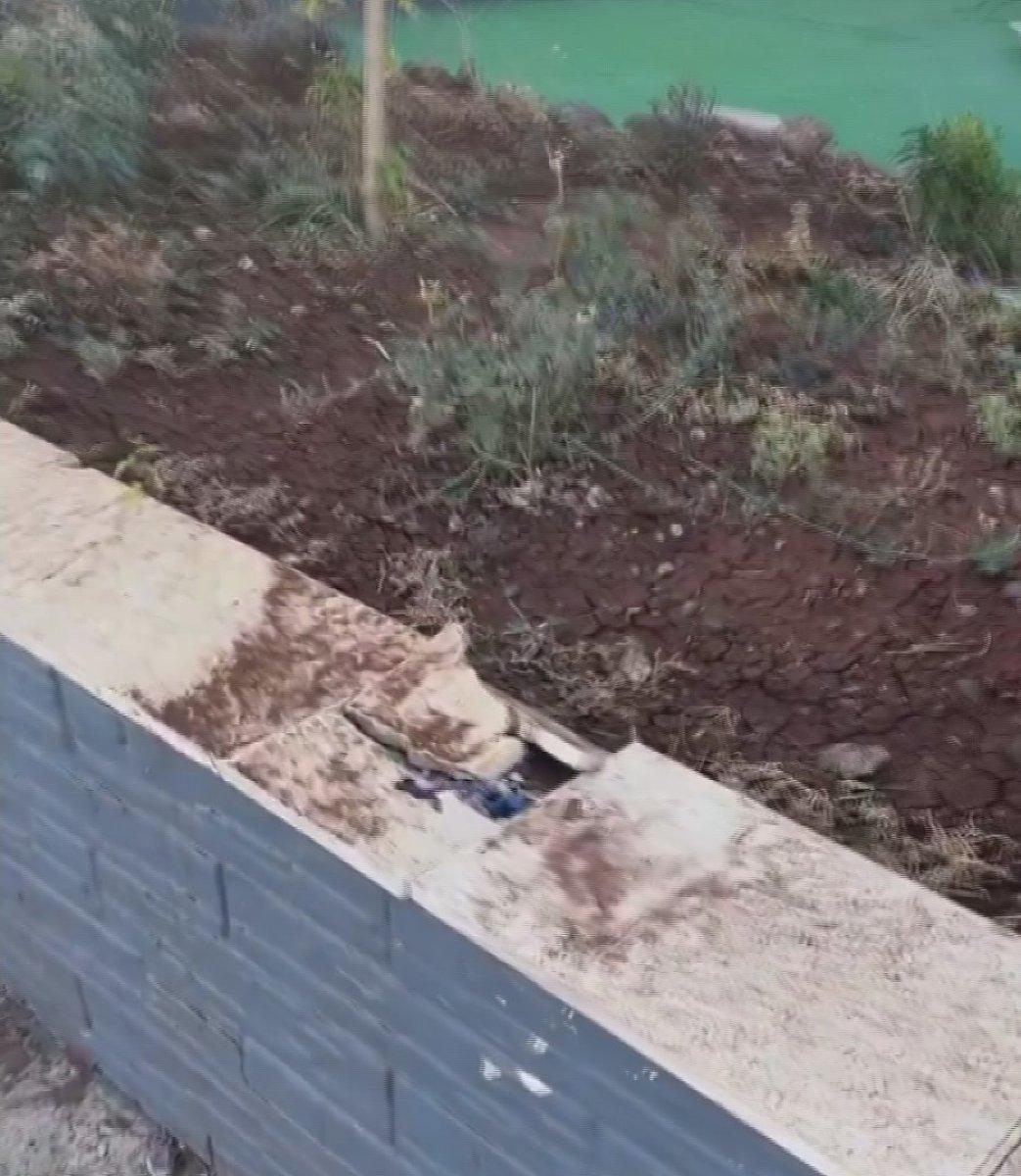 Diyarbakır'da hırsıza güldüren sitem