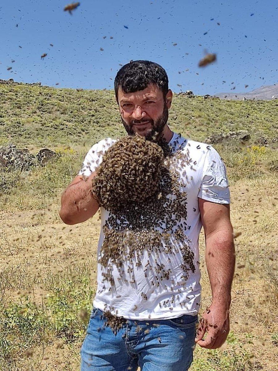 Batman’da binlerce arıyı vücudunda taşıdı