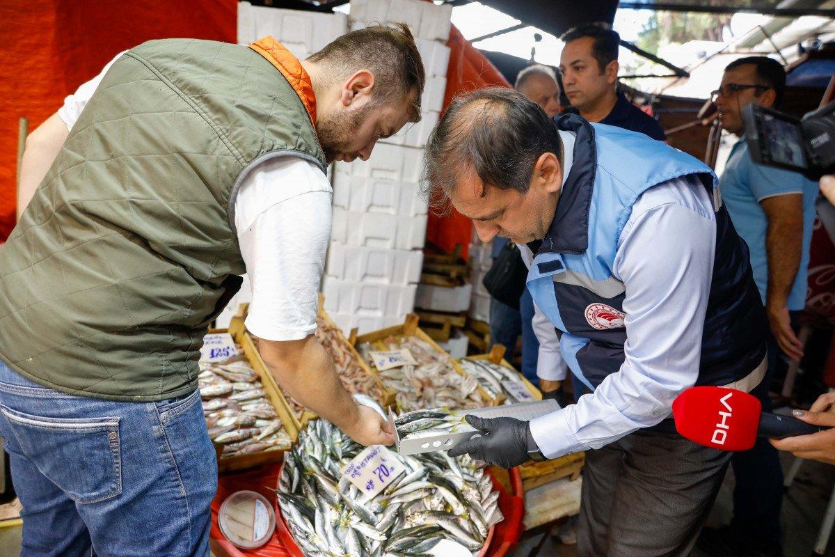 İstanbul'da balıkçılara '18 cm' denetimi