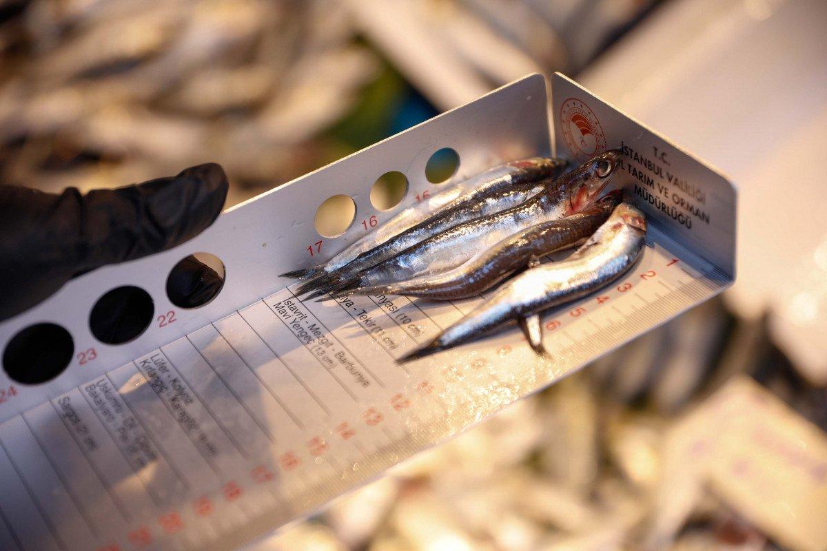 İstanbul'da balıkçılara '18 cm' denetimi