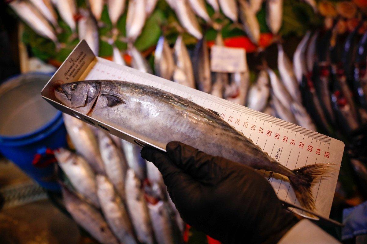 İstanbul'da balıkçılara '18 cm' denetimi