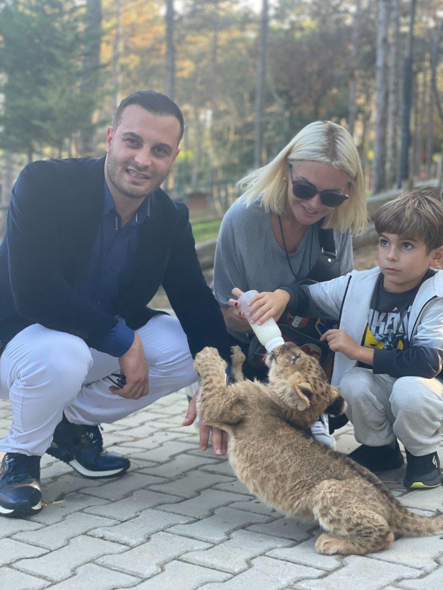 Ece Erken'in 3 aylık yavru aslanı elleriyle beslediği anlar