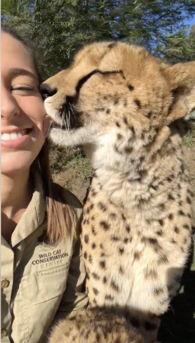 Çita ve genç kızın sevimli anları kamerada