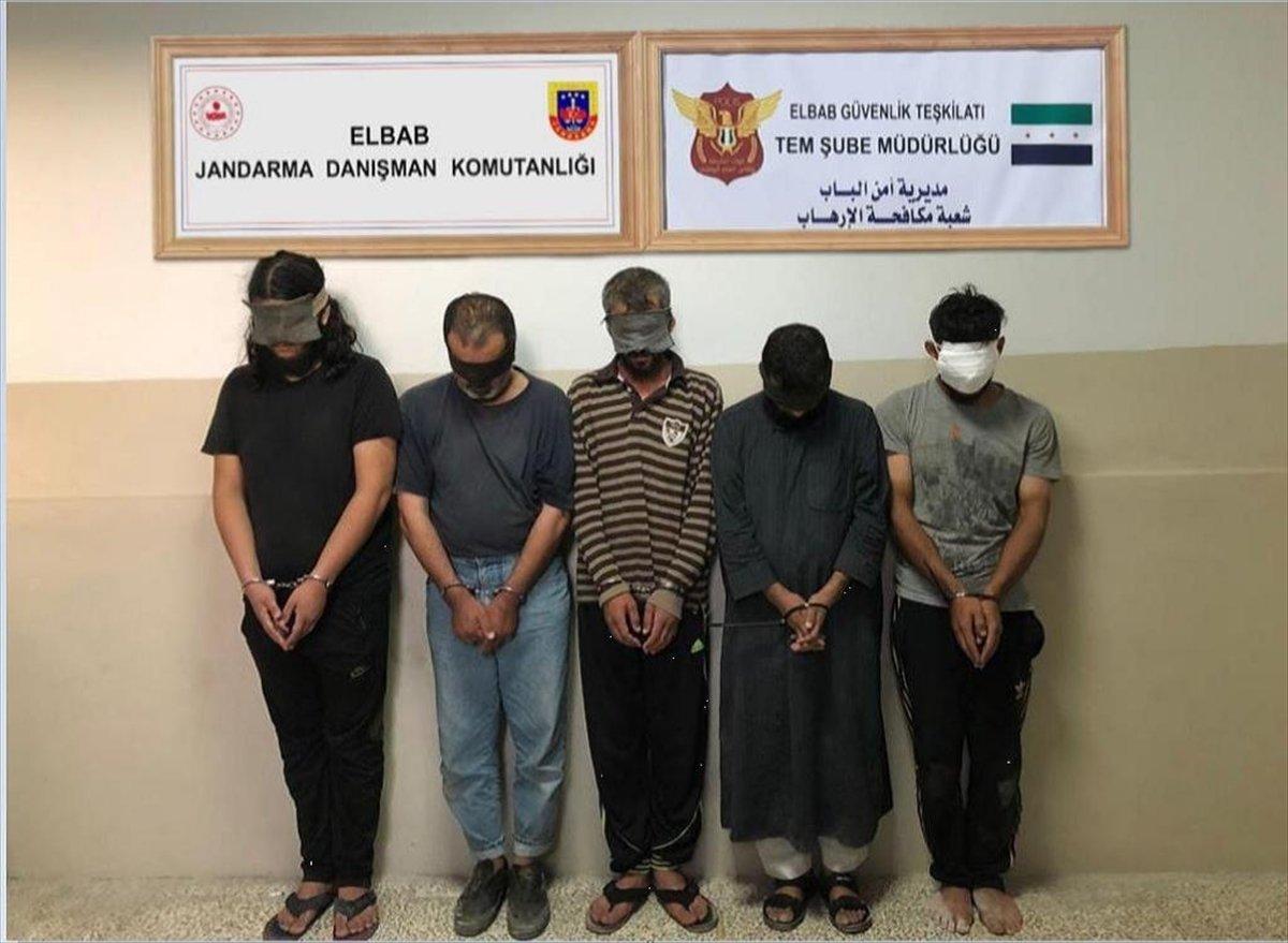 Suriye'nin kuzeyinde 6'sı sözde yönetici 15 terörist yakalandı