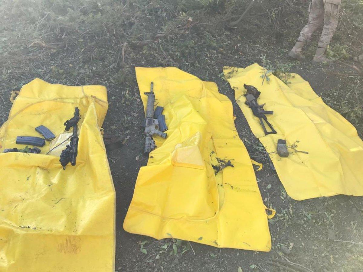 Siirt'te 3 terörist öldürüldü