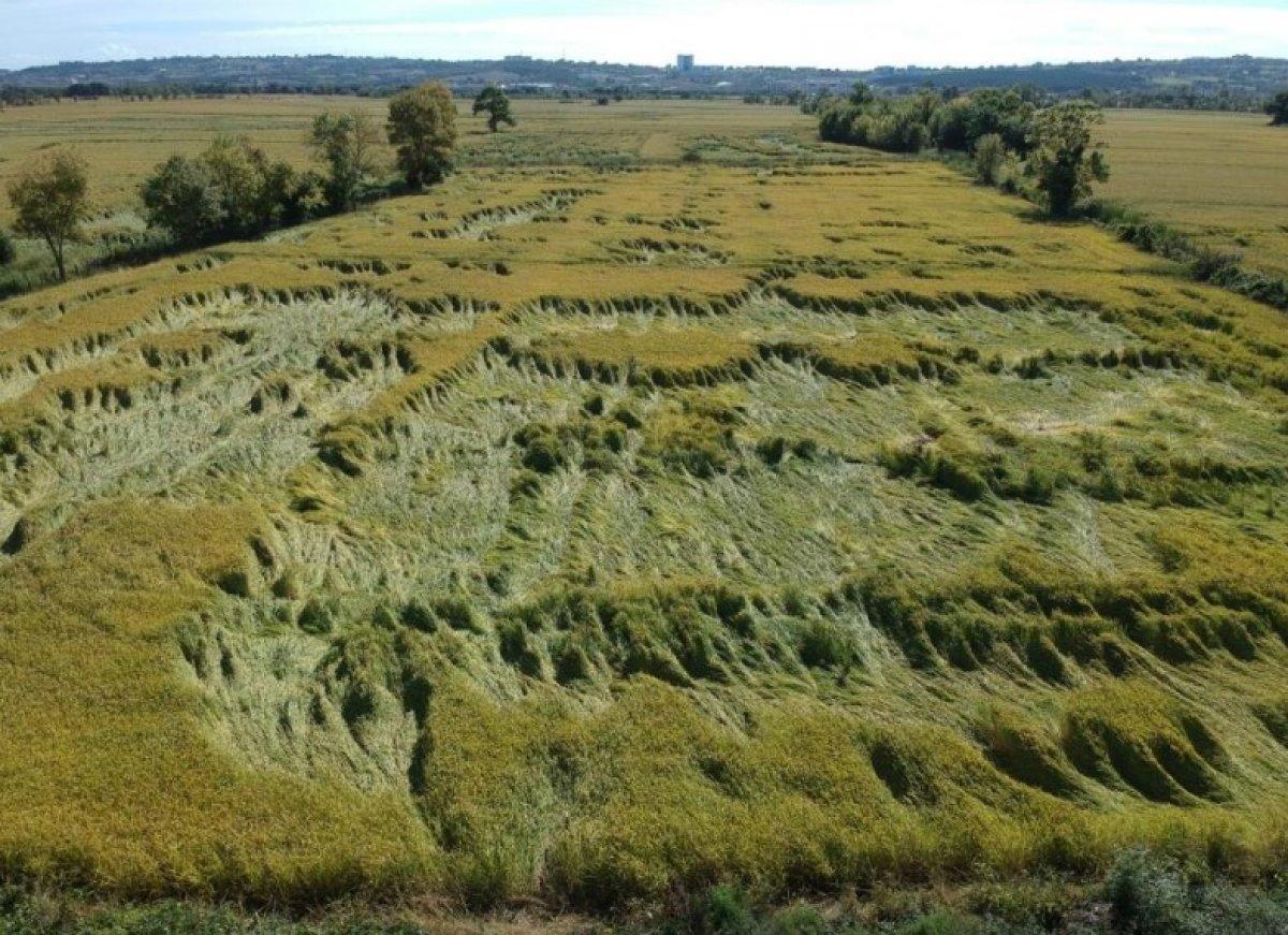 Sinop'ta tarım arazilerini fırtına vurdu